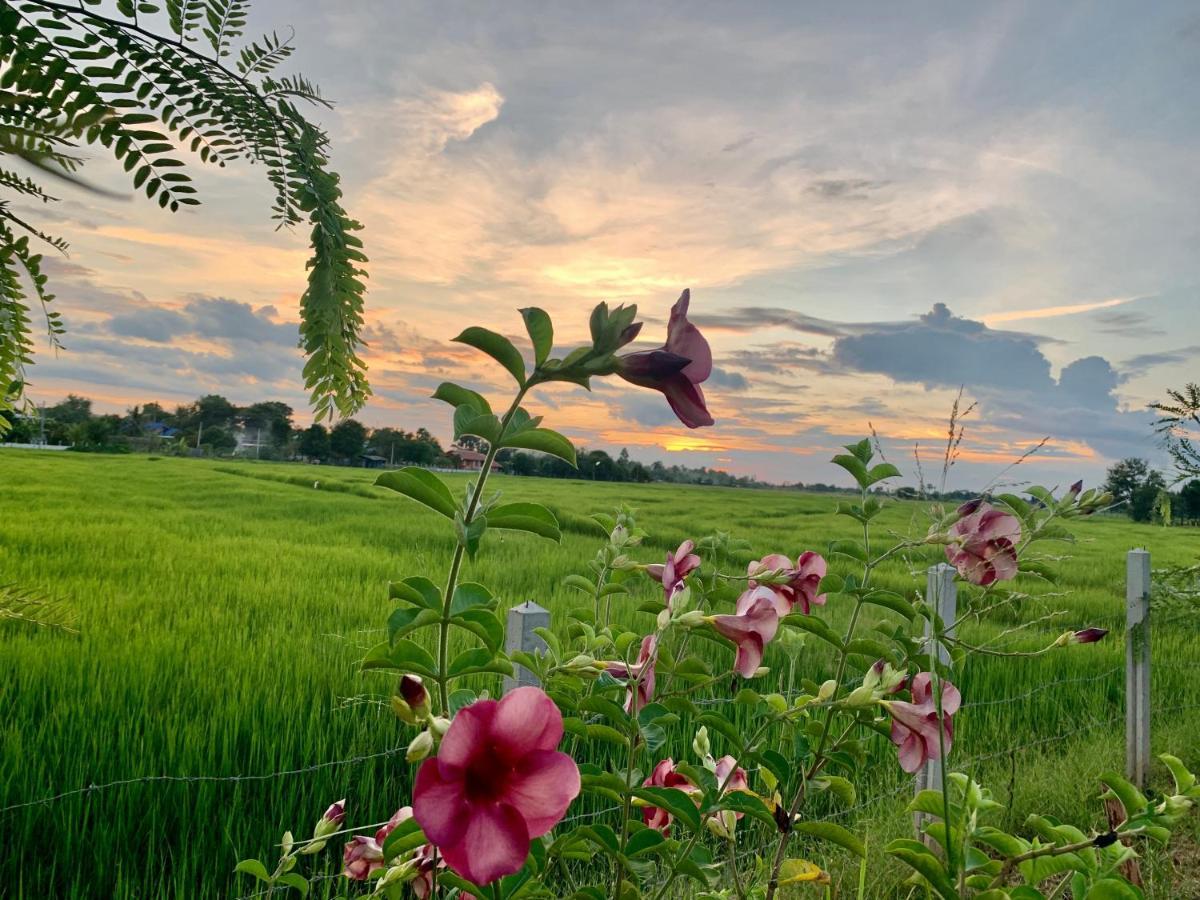 Rang Robin Farmstay With Swimming Pool Ban Wang Muang Exterior foto